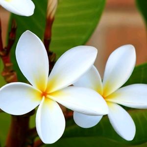 Meet your Posher, Marilyn